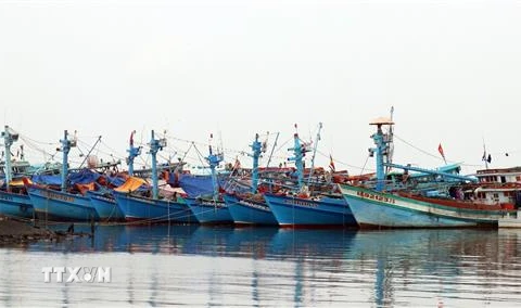 Tàu cá neo đậu trên vùng biển thành phố Rạch Giá (Kiên Giang). (Ảnh: Lê Huy Hải/TTXVN)