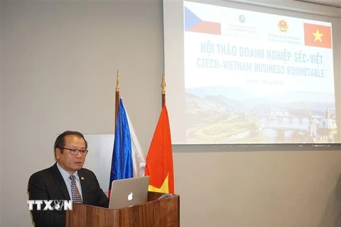 Đại sứ Việt Nam Thái Xuân Dũng phát biểu khai mạc Hội thảo. (Ảnh: Hồng Kỳ/TTXVN)