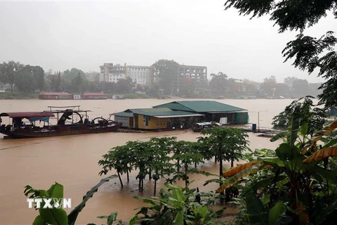 Mực nước sông Lô đoạn qua địa phận thành phố Tuyên Quang dâng khá cao. (Ảnh: Quang Đán/TTXVN)