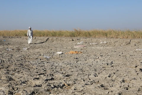 Đầm lầy Mesopotamian khô hạn. (Nguồn: globaltimes.cn)