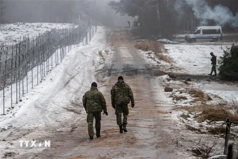 Binh sỹ Ba Lan tuần tra tại khu vực biên giới với Belarus, gần Kuznica, miền Đông Ba Lan ngày 15/12/2021. (Ảnh: PAP/TTXVN)