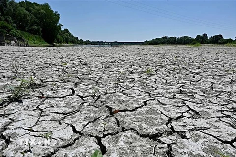 Lòng sông khô cạn do hạn hán tại Occhiobello, Italy, ngày 5/7/2022. (Ảnh: AFP/TTXVN)