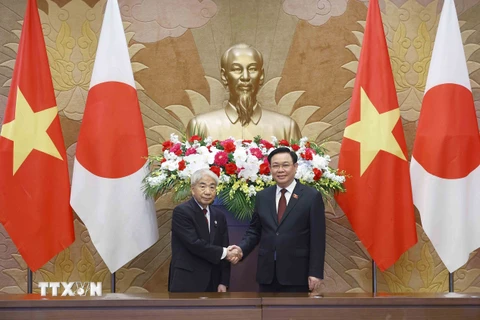 Chủ tịch Quốc hội Vương Đình Huệ và Chủ tịch Thượng viện Nhật Bản Otsuji Hidehisa. (Ảnh: Doãn Tấn/TTXVN)