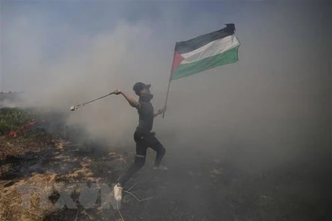 Người biểu tình Palestine trong cuộc xung đột với binh sỹ Israel. (Nguồn: THX/TTXVN)