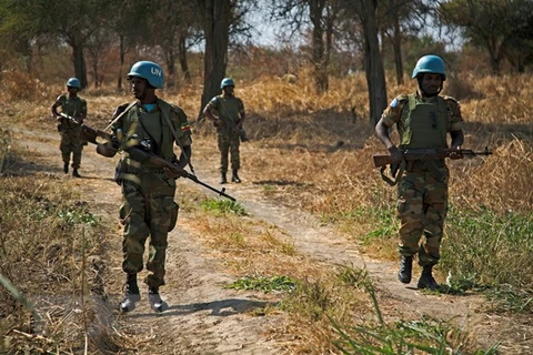 Việt Nam kêu gọi thúc đẩy giải pháp hòa bình cho Abyei