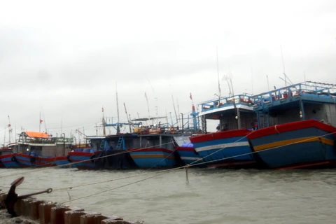 Tàu, thuyền của ngư dân xã Tam Quang, huyện Núi Thành đã neo đậu chắc chắn, đảm bảo không bị va đập khi bão đổ bộ. (Ảnh: Phước Tuệ/TTXVN)