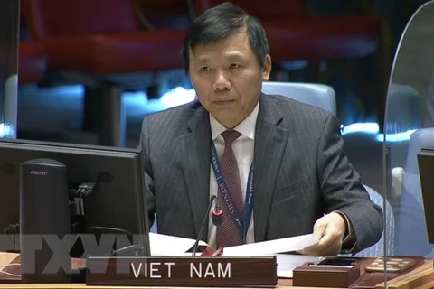 Việt Nam kêu gọi cộng đồng quốc tế tăng cường hỗ trợ CHDC Congo