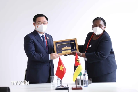 Thúc đẩy quan hệ hữu nghị truyền thống Việt Nam và Mozambique