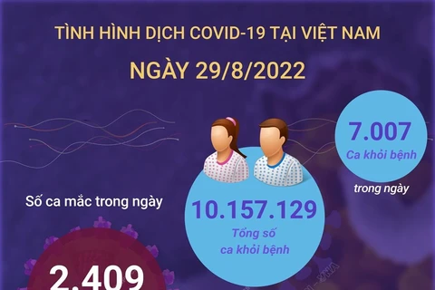 [Infographics] Tình hình dịch COVID-19 tại Việt Nam ngày 29/8