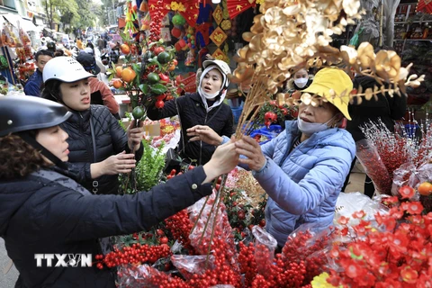 [Photo] Chợ hoa Hàng Lược - Nét văn hóa của người Hà Nội