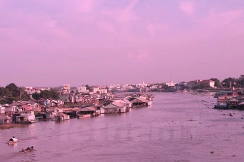 Một đoạn sông Hậu. (Nguồn: Vietnam+)