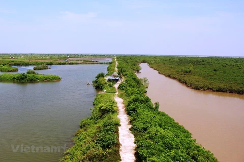 ệ sinh thái đất ngập nước tại Vườn quốc gia Xuân Thủy, tỉnh Nam Định. (Ảnh: Hùng Võ/Vietnam+)