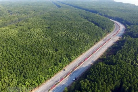 Những cánh rừng bạt ngạt xanh ngút tầm mắt dọc tuyến đường huyết mạch Rừng Sác-Cần Giờ. (Nguồn: Mạnh Linh/TTXVN)