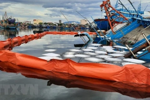 Xử lý sự cố tràn dầu sau khi một tàu cá bị chìm Cảng cá Thọ Quang, thành phố Đà Nẵng. (Ảnh: TTXVN phát)