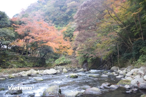 [Photo] Nhật Bản: Đến Hakone tắm nước nóng, thưởng ngoạn thiên nhiên