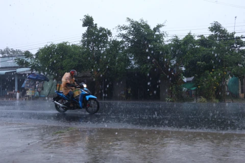 Trân mưa lớn giải hạn tại Sóc Trăng. (Ảnh: Chanh Đa/TTXVN)