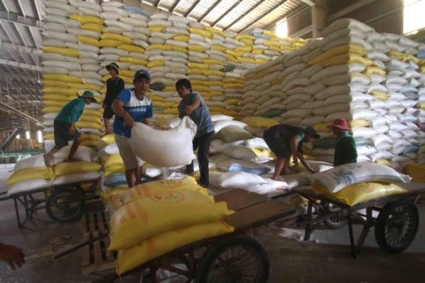 Chuẩn bị nguồn hàng gạo xuất khẩu tại Công ty Lương thực sông Hậu (Tổng công ty Lương thực miền Nam). (Ảnh: Vũ Sinh/TTXVN)