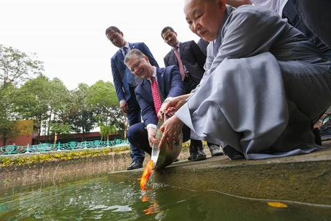 Đại sứ Hoa Kỳ tại Việt Nam Daniel J. Kritenbrink thực hiện nghi lễ thả cá chép tại chùa Kim Liên để tiễn ông Công ông Táo về trời theo truyền thống của người Việt. (Ảnh: Minh Sơn/Vietnam+)