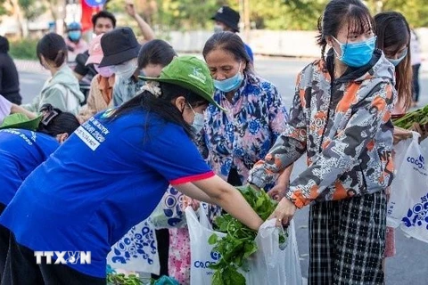 Lực lượng thanh niên tình nguyện thuộc Đoàn trường Đại học Thủ Dầu Một, Bình Dương, tham gia phát miễn phí rau xanh cho bà con vùng cách ly. (Ảnh: Chí Tưởng/TTXVN)
