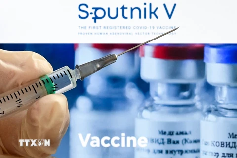 Vắcxin Sputnik V phòng COVID-19 của Nga. (Ảnh: AFP/TTXVN)