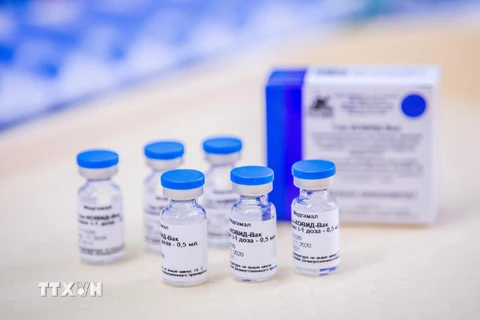 Vắcxin Sputinik V ngừa COVID-19 của Nga. (Ảnh: AFP/TTXVN)