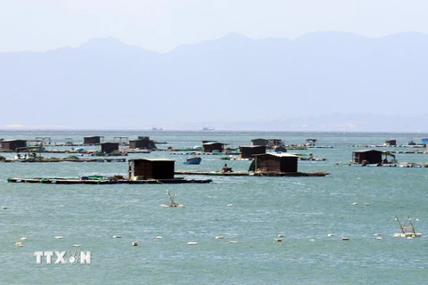 Kiểm soát chặt rác thải từ nghề nuôi trồng thủy sản gây ô nhiễm môi trường biển. (Ảnh: Công Thử/TTXVN)