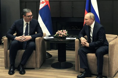 Trong ảnh: Tổng thống Nga Vladimir Putin (phải) và Tổng thống Serbia Aleksandar Vucic tại cuộc gặp ở Sochi ngày 25/11/2021. (Ảnh: AFP/ TTXVN) 
