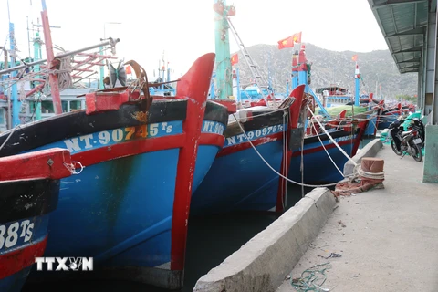 Tàu thuyền neo đậu tránh bão Rai tại cảng cá Cà Ná, xã Cà Ná, huyện Thuận Nam, Ninh Thuận. (Ảnh: Nguyễn Thành/TTXVN)