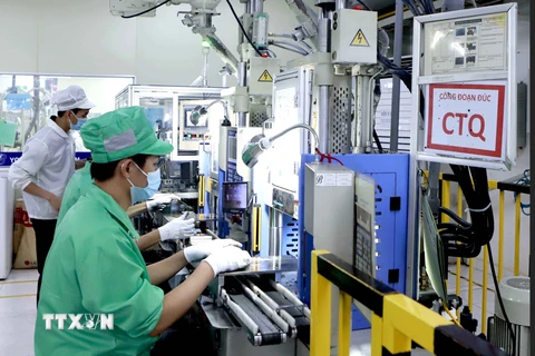 Công ty Youngbag Việt Nam Khu công nghiệp Bình Xuyên, Vĩnh Phúc là doanh nghiệp 100% vốn Hàn Quốc. (Ảnh: Hoàng Hùng/TTXVN)