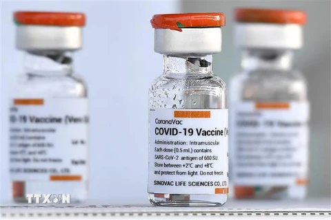 Vaccine CoronaVac do hãng dược phẩm Sinovac của Trung Quốc bào chế. (Ảnh: AFP/TTXVN)