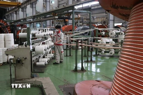 Hoạt động sản xuất tại Nhà máy Bắc Dương – chi nhánh Công ty Cổ phần Dây và Cáp điện Thượng Đình. (Ảnh: Mạnh Minh/TTXVN)