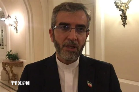 Trưởng đoàn đàm phán hạt nhân Iran, Thứ trưởng Ngoại giao Ali Bagheri Kani. (Ảnh: IRNA/TTXVN)