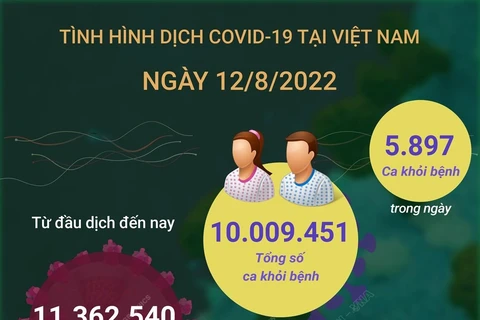 [Infographics] Cập nhật tình hình dịch COVID-19 trong nước ngày 12/8