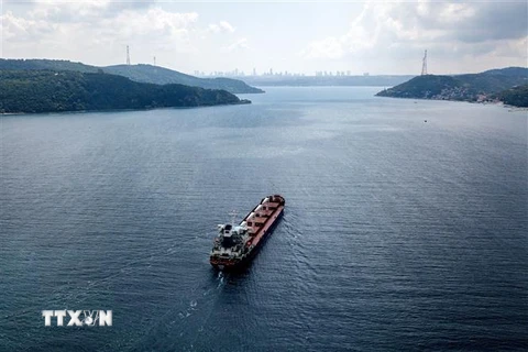 Tàu Razoni chở ngũ cốc của Syria di chuyển dọc Eo biển Bosphorus ở Istanbul, Thổ Nhĩ Kỳ, ngày 3/8/2022. (Ảnh: AFP/TTXVN)