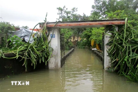 Thôn Vạn Thọ, xã vạn Hòa, huyện Nông Cống, Thanh Hóa bị ngập trong nước lũ. (Ảnh: Nguyễn Nam/TTXVN)