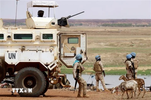 Binh sỹ thuộc Phái bộ gìn giữ hòa bình ở Mali (MINUSMA) tuần tra tại Gao, Mali. (Ảnh: AFP/TTXVN)