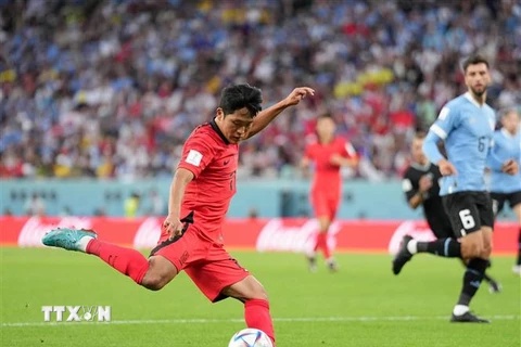 Pha sút bóng của cầu thủ Hàn Quốc Na Sang-ho trong trận đấu với Uruguay. (Ảnh: THX/TTXVN)