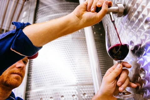 Morne Vrey, một nhà sản xuất rượu vang, chuẩn bị nếm thử rượu vang đỏ lấy từ một bể chứa tại Delaire Graff Estate ở Stellenbosch, Nam Phi. (Ảnh: Getty Images)