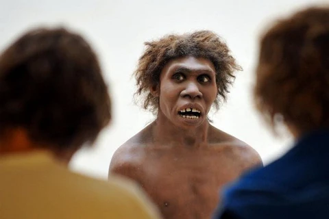 Người Neanderthal. (Nguồn: Getty) 