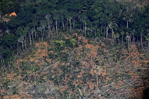Một khoảng rừng Amazon ở bang Rondonia, miền Bắc Brazil bị tàn phá. (Nguồn: AFP/TTXVN)