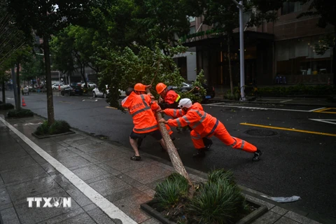 Công nhân môi trường di chuyển cây đổ do ảnh hưởng của bão In-Fa tại Ninh Ba, Chiết Giang (Trung Quốc) ngày 25/7/2021. (Ảnh: AFP/TTXVN)