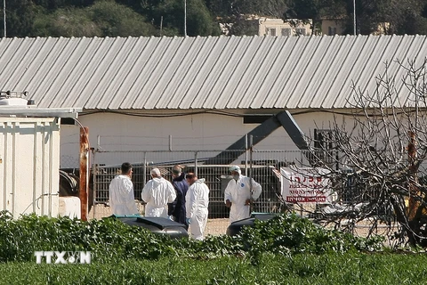Trong ảnh (tư liệu): Nhân viên kiểm dịch được triển khai tại trang trại nuôi gà ở Kibbutz Ein Shemer, Israel, sau khi phát hiện một ổ dịch cúm gia cầm. (Ảnh: AFP/TTXVN)