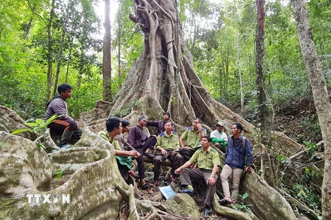 Lực lượng kiểm lâm, cán bộ, nhân viên vườn Quốc gia Kon Ka Kinh và người dân nhận khoán trao đổi phương án bảo vệ rừng. (Ảnh: Hồng Điệp/TTXVN)