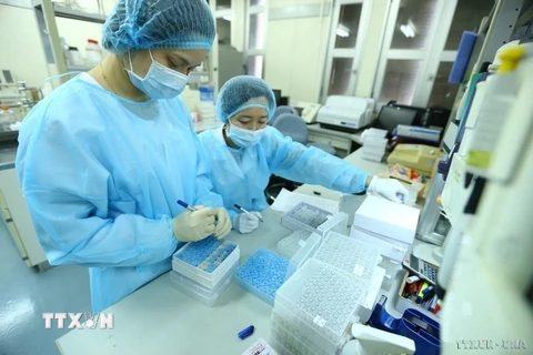 Thành quả của nhóm các nhà nghiên cứu Phòng thí nghiệm Cúm, khoa Virus, Viện Vệ sinh dịch tễ Trung ương là phân lập thành công virus corona chủng mới (SARS-CoV-2), đưa Việt Nam là 1 trong 4 quốc gia phân lập thành công virus này. (Ảnh: Minh Quyết/TTXVN) 