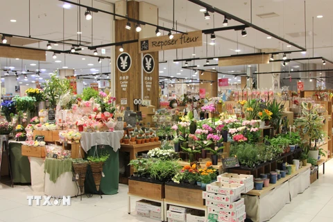 Gian hàng hoa ở siêu thị AEON Mall Makuhari (Chiba, Nhật Bản). (Ảnh: Đào Thanh Tùng/TTXVN)