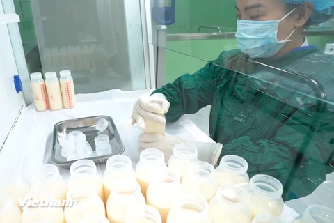Bảo quản sữa mẹ thanh trùng được hiến tặng tại một Ngân hàng sữa mẹ. (Ảnh: Minh Quyết/Vietnam+)