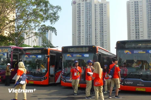 Đội xe buýt cùng các tình nguyện viên trực sẵn tại làng vận động viên ASIAD Kemayoran. (Ảnh: Đỗ Quyên/Vietnam+)