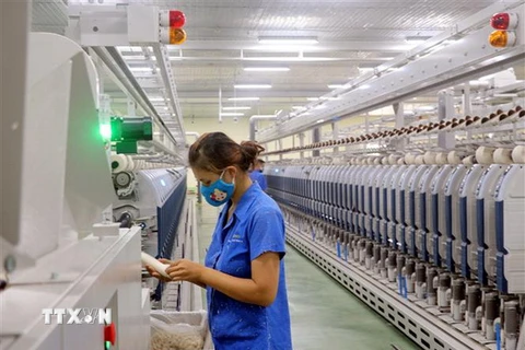 Công nhân Nhà máy sợi Hòa Xá làm việc. (Ảnh: Nguyễn Lành/TTXVN)