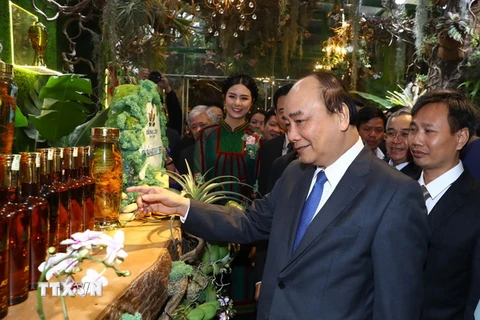 Thủ tướng Nguyễn Xuân Phúc và các đại biểu tham quan triển lãm. (Ảnh: Thống Nhất/TTXVN)