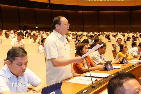 Đại biểu Quốc hội tỉnh Yên Bái Giàng A Chu phát biểu ý kiến. (Ảnh: Doãn Tấn/TTXVN)